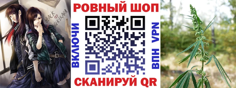 Галлюциногенные грибы Улан-Удэ