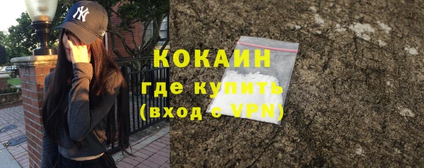 mdpv Богородицк