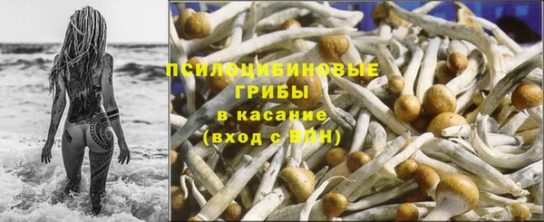 apvp Богданович