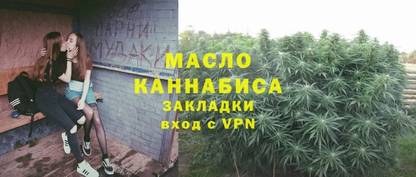 mdpv Богородицк