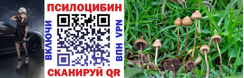 Псилоцибиновые грибы GOLDEN TEACHER  ссылка на мегу онион  Улан-Удэ 